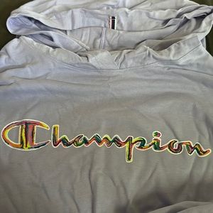 Champion Large Purple Longsleeve